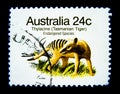 A stamp printed in Australia shows an image of Thylacine Tasmanian tiger on value at 24 cent.